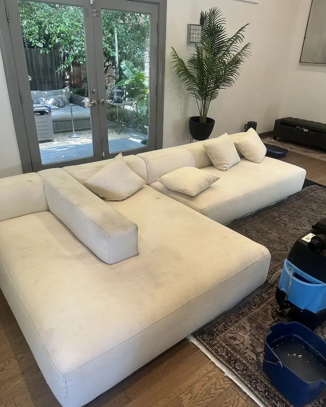 White couch cleaning on Sunset Blwd