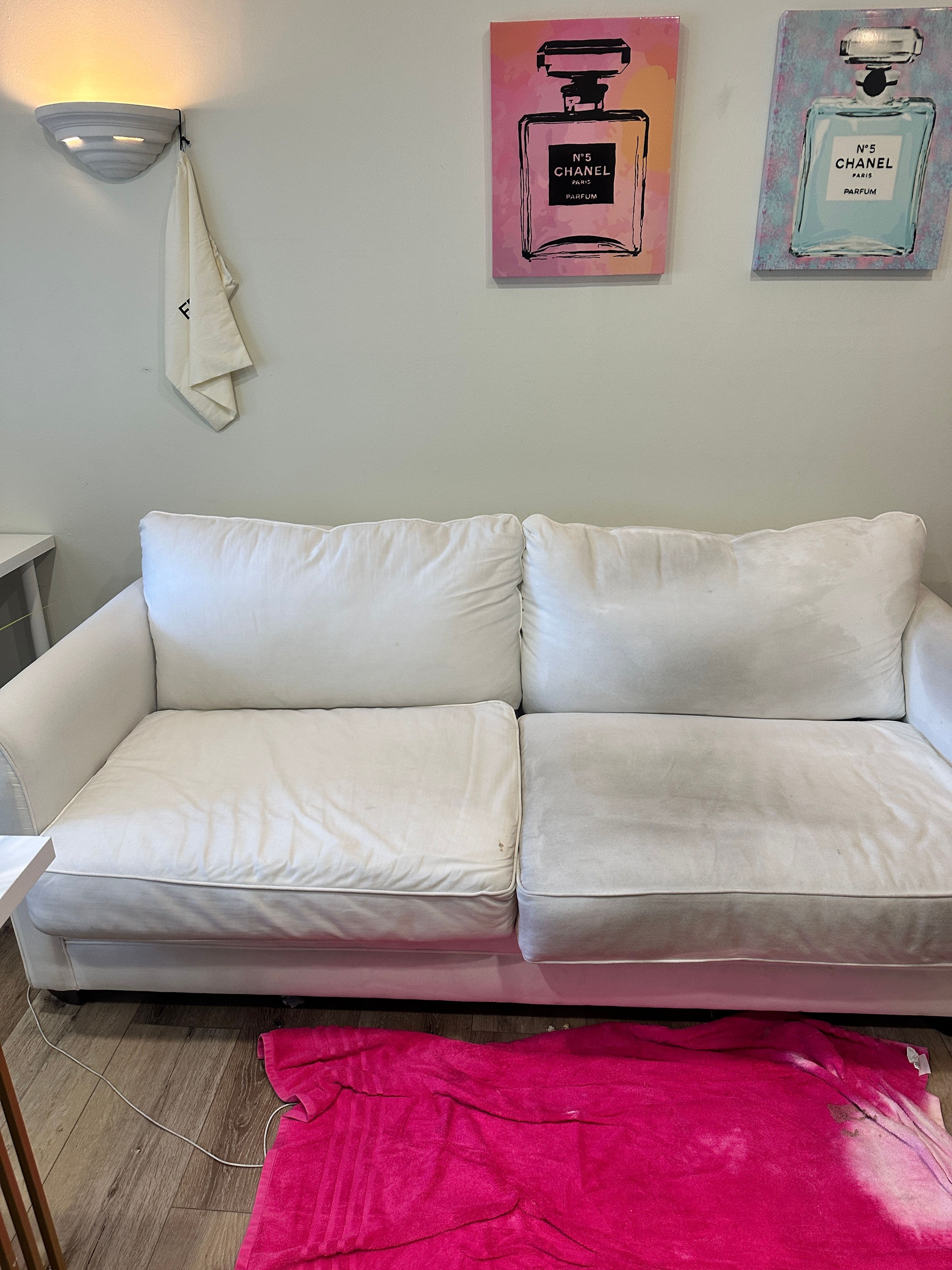 Technician performing professional sofa and upholstery deep cleaning.