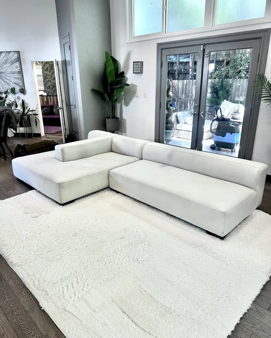 White couch cleaning on Sunset Blwd