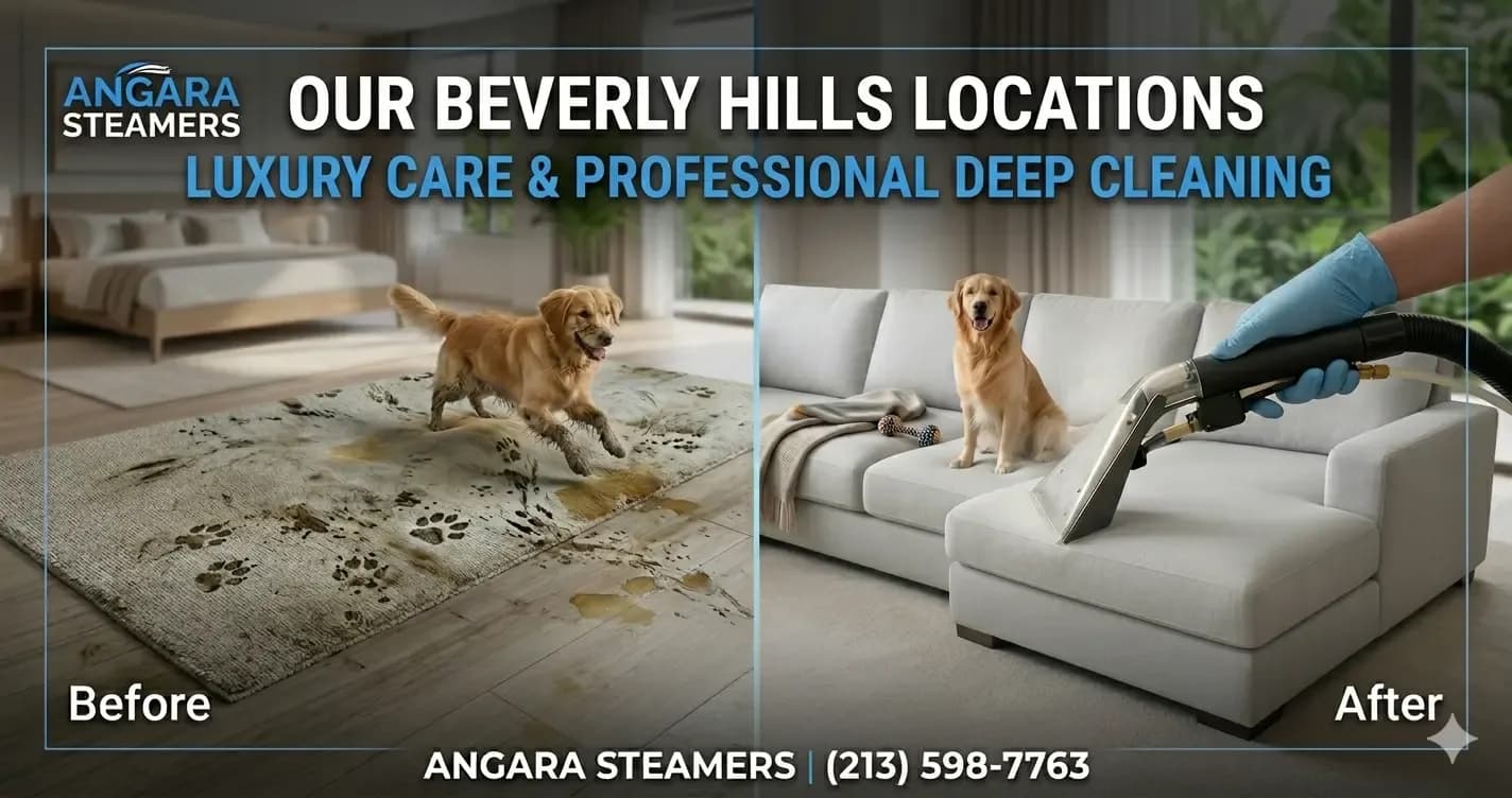 Top-rated custom couch cleaning and deep fabric extraction in Beverly Hills, CA. Specialized in luxury textiles, linen, velvet, and deep sanitization.