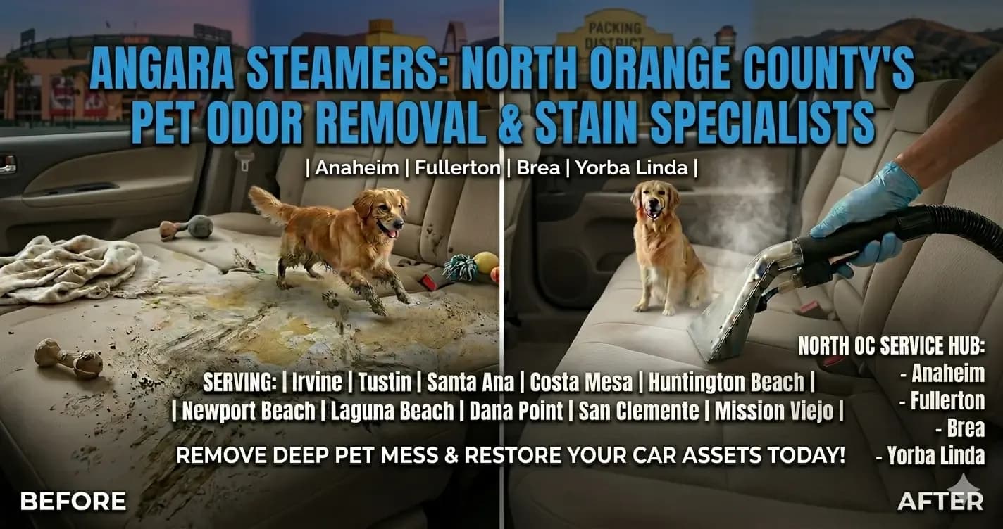 Professional upholstery cleaning