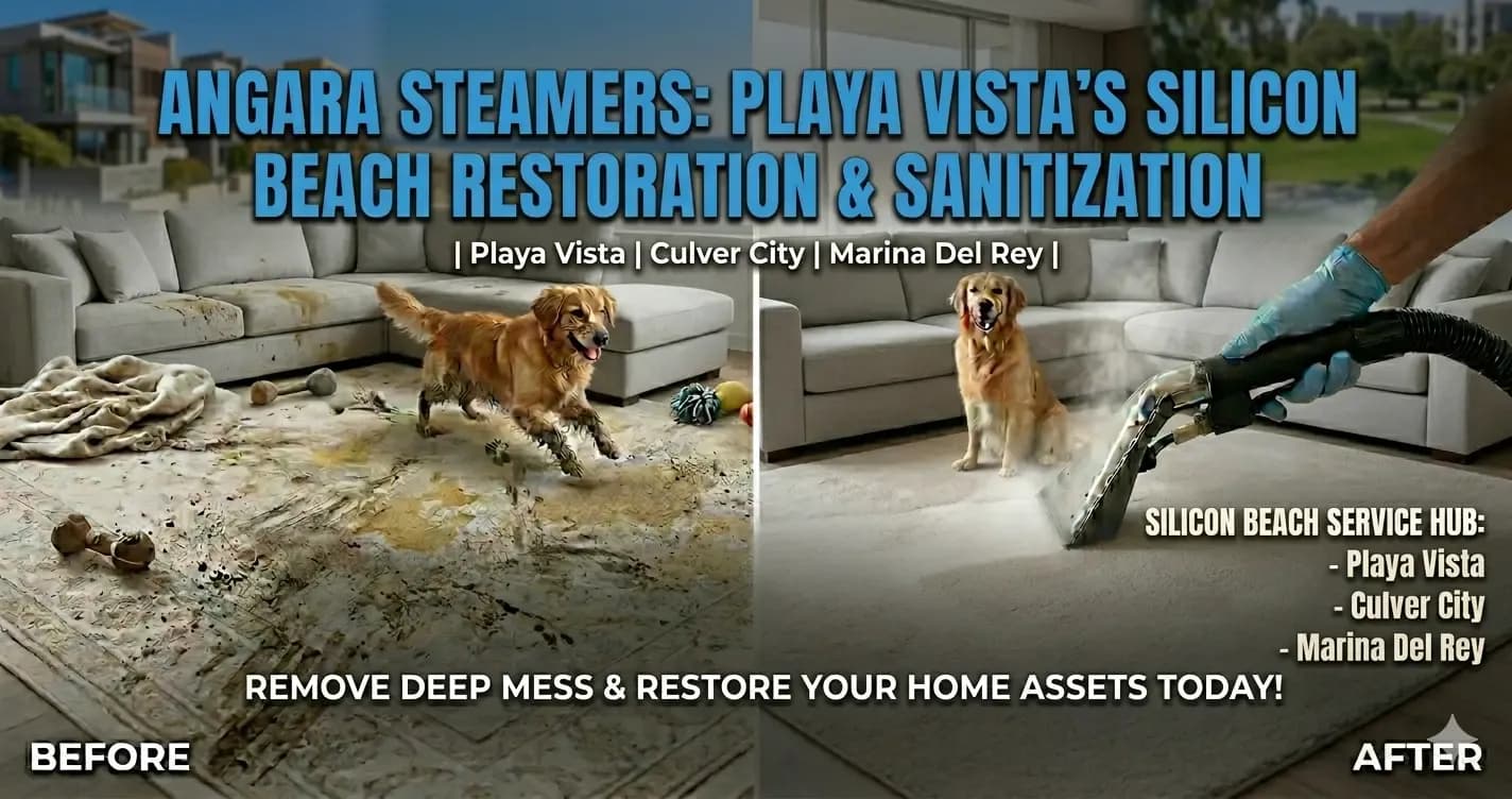 Looking for top-rated couch cleaning or mattress sanitization in Playa Vista? High-heat steam extraction, pet stain removal, and eco-friendly formulas.