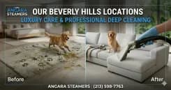 Beverly Hills