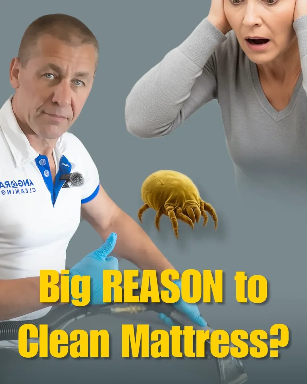 Mattress & Bed Frame Cleaning